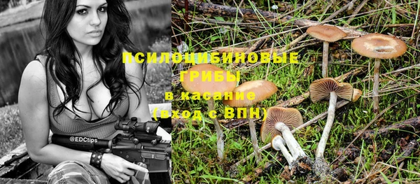 скорость Вяземский