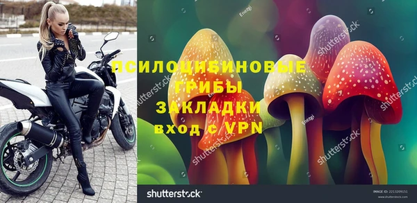 стафф Горнозаводск