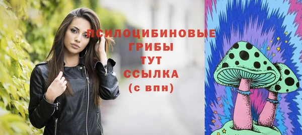 прущая мука Вязьма