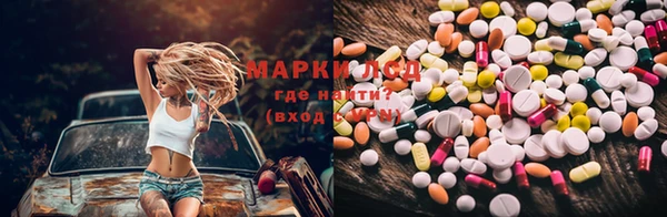 скорость Вяземский