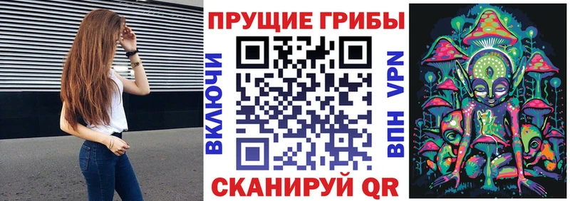 Псилоцибиновые грибы Cubensis  Купить закладки  Кудымкар 